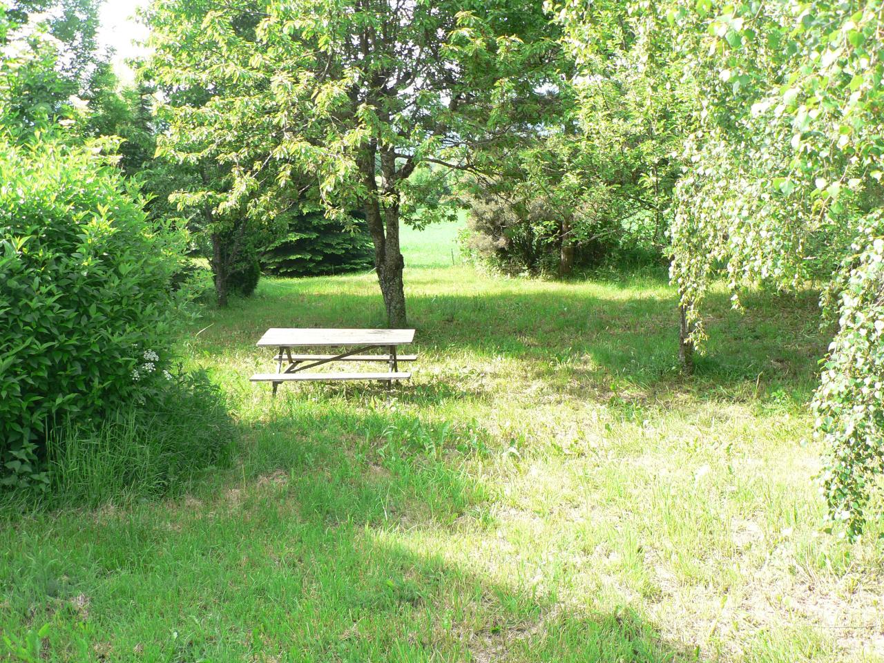 Jardin en été (03)