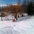 Jardin en hiver (01)