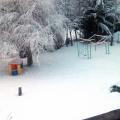 Jardin en hiver (02)